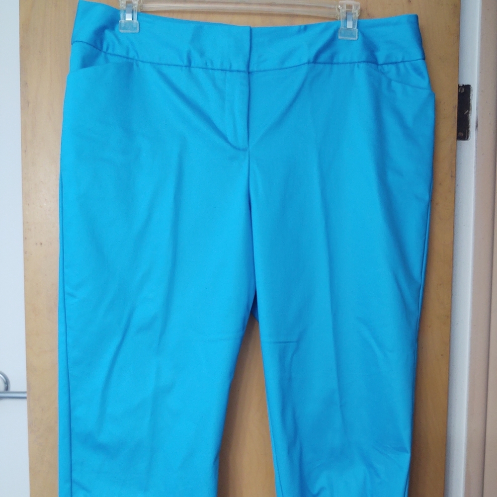 Bright blue capris - 16W